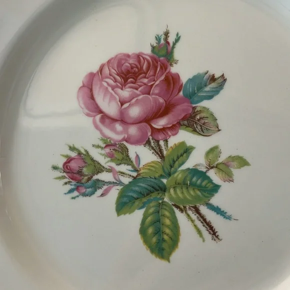 Vintage Homer Laughlin Cunningham Pickett Calirose set of 6 Dinner plates MCM - Picture 2 of 7